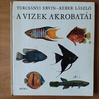 László Turcsányi Ervin-Réber: acrobats of the waters, 1966.