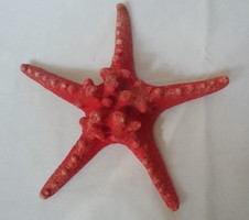 Piros nagy tengericsillag ingyenposta tengeri csillag 5 ágú