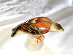 Ritka szép festésű Aquincumi sólyom madár