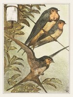 Hoytema - Három fecske - vakrámás vászon reprint