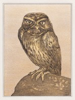 Hoytema - owl on the rock - quilted canvas reprint