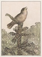 Hoytema - songbird on the pine tree - blindfold canvas reprint
