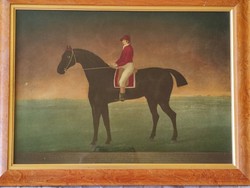 Highflyer (1774 – 1793) Unbeaten thoroughbred racehorse (with London label)