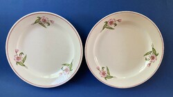 Zsolnay 2 large flower plates with rare vegetables