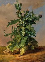 Schuster - thistle - blindfold canvas reprint