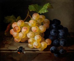 Andreas Lach - Csendélet szőlővel - vakrámás vászon reprint