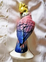 Volkstedt, rare porcelain parrot