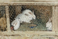 Montezin - rabbits in a cage - canvas reprint