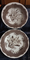 Orchid plates