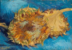 Van gogh - sunflowers - blindfold canvas reprint