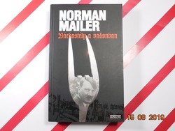 Norman mailer: castle in the wilderness