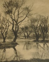 White Ilona (1913-1983): waterfront trees