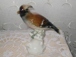 Hollóházi Very Rare Bird (KARL ENS)