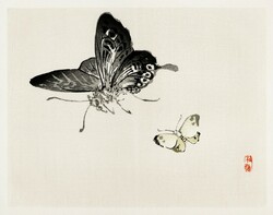 Kono bairei - butterflies - canvas reprint