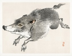Kono bairei - wild boar - canvas reprint