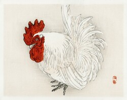 Kono bairei - rooster - canvas reprint