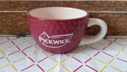 Pickwick porcelain tea cup