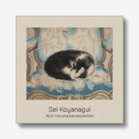 Koyanagui : sleeping cat - blindfold canvas reprint