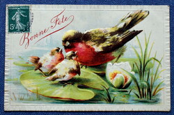Antik dombornyomott üdvözlő litho képeslap madár fiókáival tavirózsán