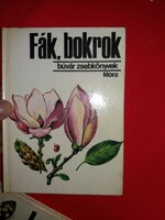 1982.Dr. Debreczy Zsolt: Fák, bokrok (Búvár zsebkönyvek) – Móra Ferenc Könyvkiadó képek szerint
