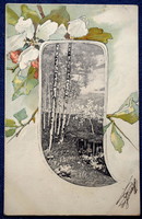 Antik szecessziós különleges litho képeslap  almavirág tájkép keretben
