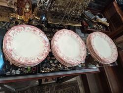 W.A.A. Co porcelán tányérjai 1901-ből, 22 db gyönyörűség. viktoriánus