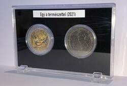 Collector case for coin pairs