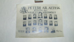 Régi általános iskolai tablókép, fotó - 1955/56