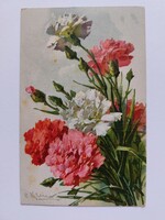 Old postcard with floral postcard carnation