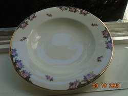 Antique Czech deep plate with Viennese roses