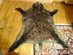 Boar skin tapestry. He has his head and nails. He has!