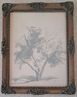 Isván Szőnyi: lonely tree. Graphic drawing,