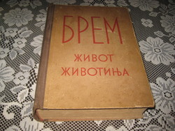 Alfred BREM  szép könyve ( szerbül ) az állatvilágról  1953