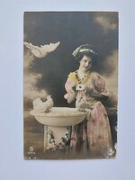 Old postcard photo postcard lady pigeons