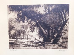 Jenő Remsey (1885-1980) forest road