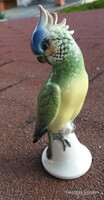 Volkstedt porcelain parrot