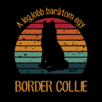 My best friend is a border collie - vintage style dog canvas print