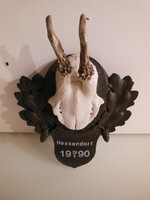 Trophy - 1990 - deer - marked - Austrian - 21 x 16 cm - flawless