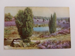 Old postcard spring landscape floral field postcard