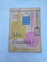 Old cookbook 1968 Turkish Erzsi, what should we cook? Titled recipes