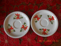 Zsolnay poinsettia patterned coffee plate