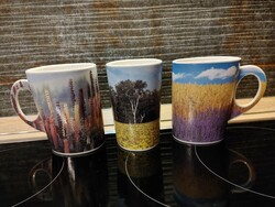 Flower fields themed mugs glasses