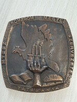 Mtesz Tatabánya Komárom county organization bronze plaque in its own box