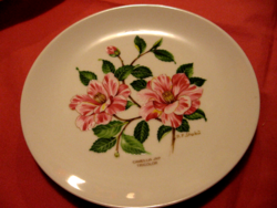 Hand painted camellia winterling kirchenlamitz plate r.F.Stokü