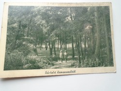 D192321 old postcard - Kara Forest - Büdaörs - István Kostyál's golden deer restaurant