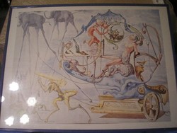 N3 salvador dali rare 88 x 60 cm plexiglass protective picture rarity for sale as a gift