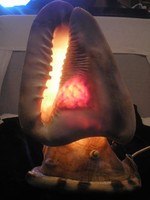 N15 romantic lamp made of deep sea shells 28 cm wonderful colors approx. 2 kg huge rarity