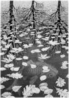 M. C. Escher grafika: Három világ REPRINT nyomat, hal erdő tó levelek fák tükörkép ősz fekete fehér