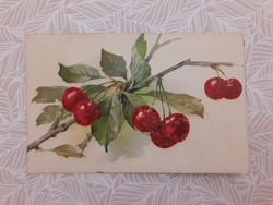 Old postcard 1906 plant pattern postcard cherry