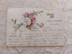 Old postcard 1900 postcard with flower carnations